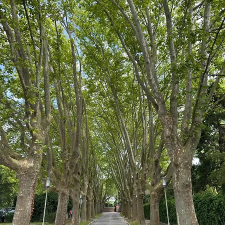 Amao Brown - Center - 85 M2 - King-size Bed - Private Parking - Storchenturm - Bis 10 Pers 2whg Лар