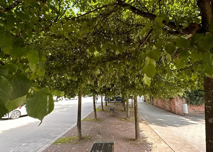 Amao Brown - City Center Lahr - Comfort Apartment * Lahr (Baden-Wurttemberg)