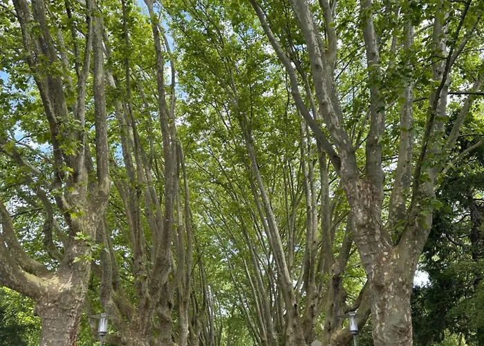 Amao Brown - City Center Lahr - Comfort Apartment Lahr (Baden-Wurttemberg)