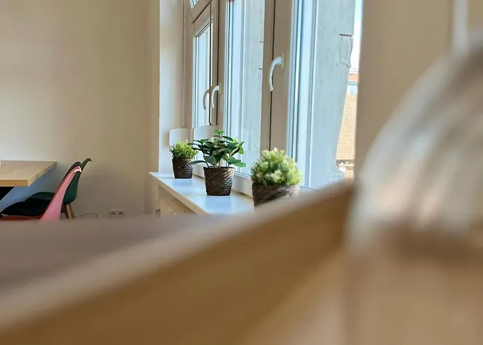 Amao Brown - City Center Lahr - Comfort Apartment * Lahr (Baden-Wurttemberg)